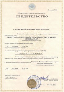 2 Свидетельство о государственной регистрации ОГРН